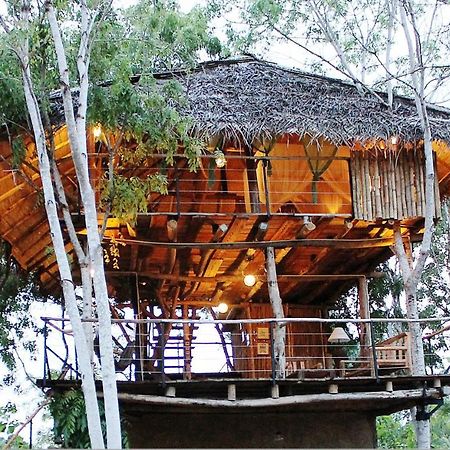 The Saraii Tree Lodge Tissamaharama Exteriör bild