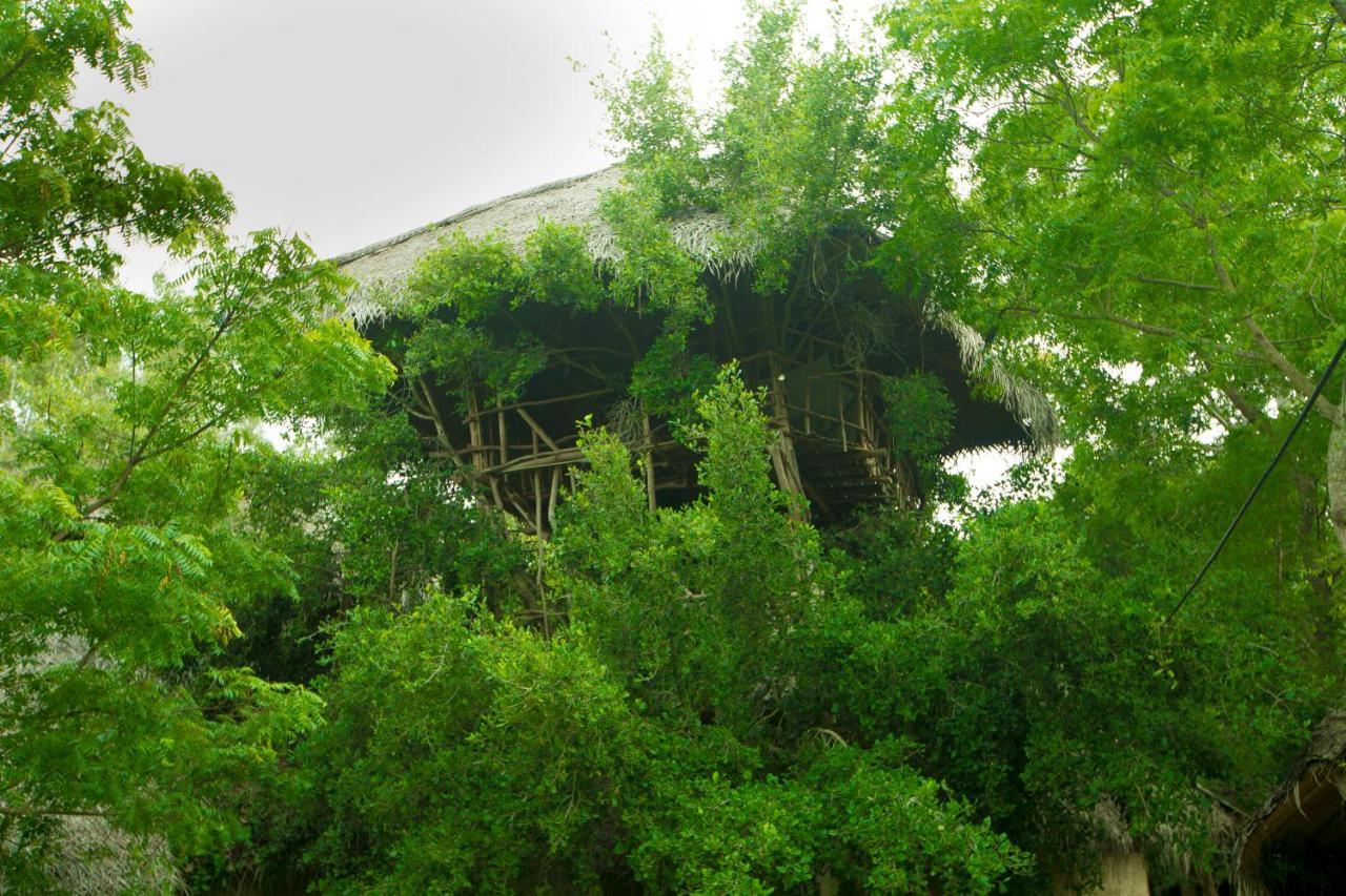 The Saraii Tree Lodge Tissamaharama Exteriör bild