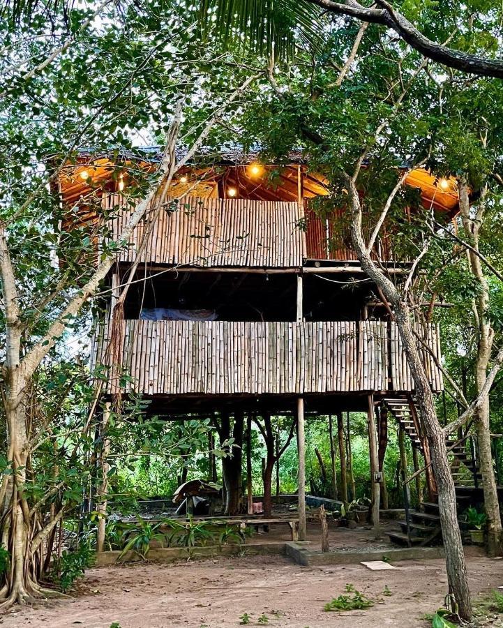 The Saraii Tree Lodge Tissamaharama Exteriör bild