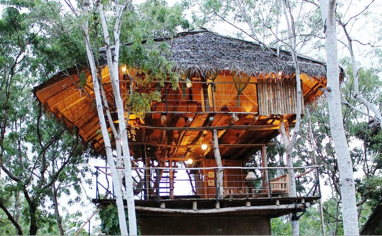 The Saraii Tree Lodge Tissamaharama Exteriör bild