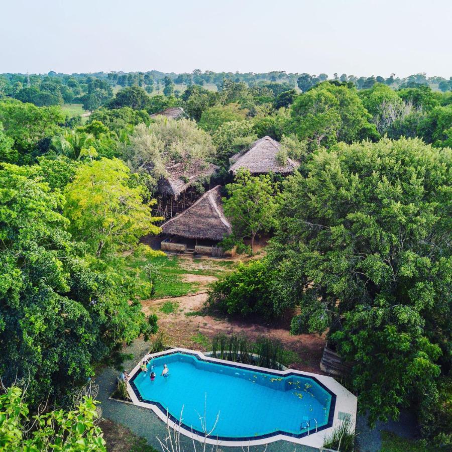 The Saraii Tree Lodge Tissamaharama Exteriör bild